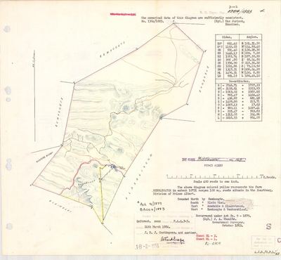 Scan of Surveyor-General diagram, 1364/1883, October 1883