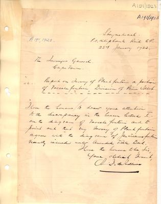 Scan of Surveyor's report, A191/1923, 23 January 1923