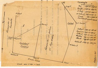 Scan of Surveyor-General diagram, 1919