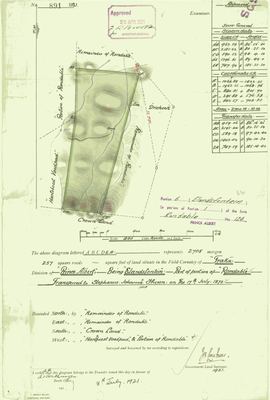 Scan of Surveyor-General diagram, 891/1921, 1921