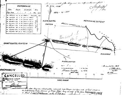 Scan of Surveyor-General diagram, 978/1883, 1883