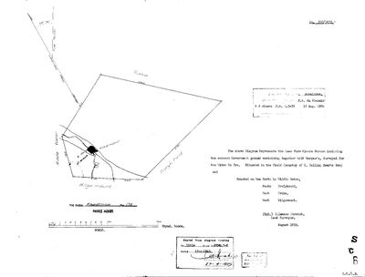 Scan of Surveyor-General diagram, 350/1833, August 1833