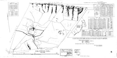 Scan of Surveyor-General diagram, B.19/1886, 1886