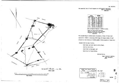 Scan of Surveyor-General diagram, 765/1873, 1872