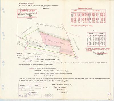 Scan of Surveyor-General diagram, 1319/1896, May 1893